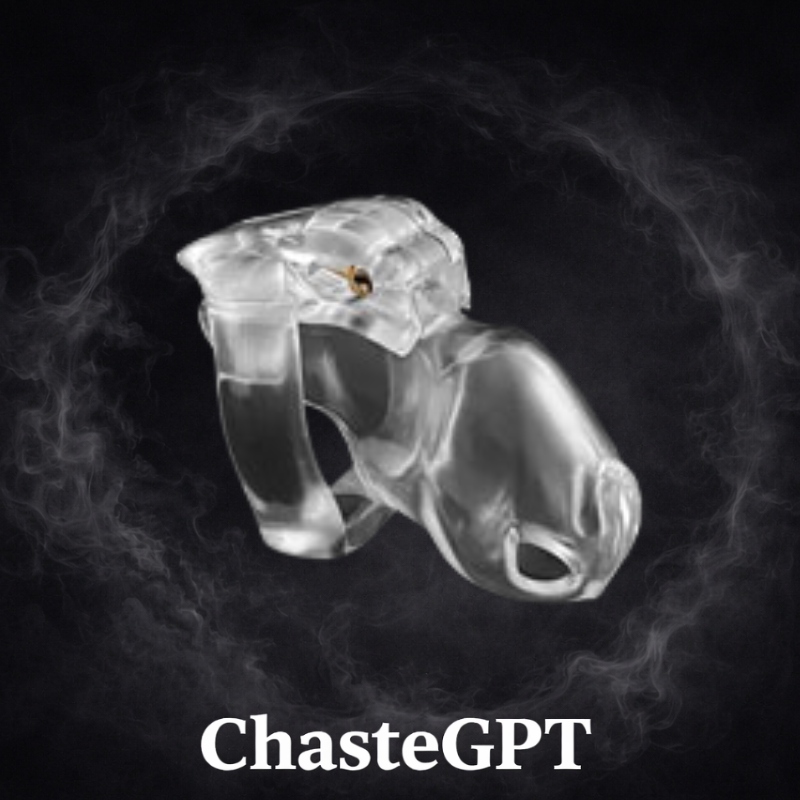 Holy Trainer V4 (Small)