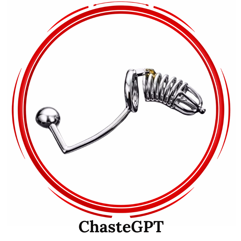 Nopacha Chastity Belt With Anal Intruder Full Metal Locking System For Double Penetration Erection Denial Ref 8804