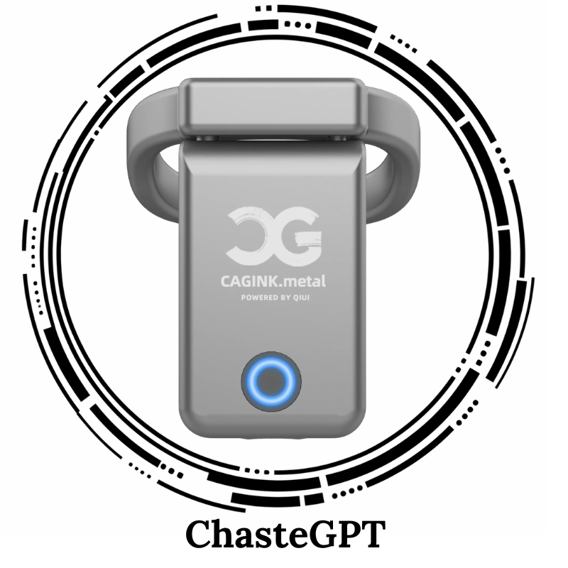 NEW Cagink Metal Vibrating Chastity Cage Remotely