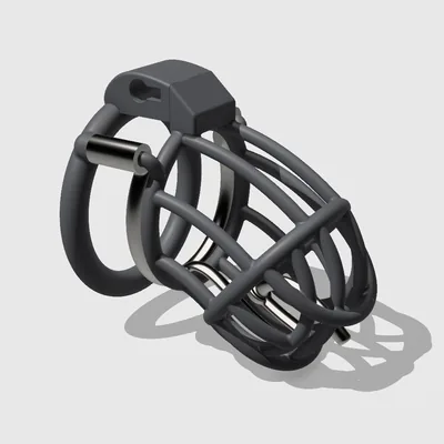 BRS-21P(90/42)