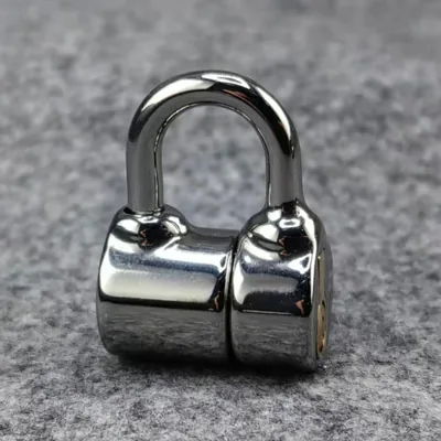 Small Size D Ring PA Lock