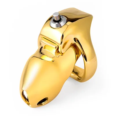 Metal Holy Trainer V5 Pro