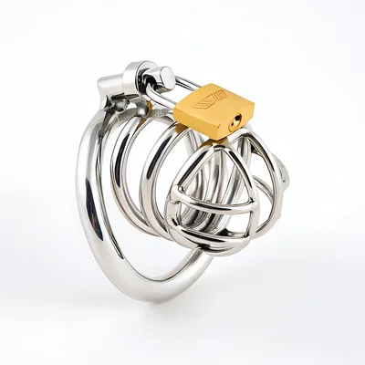 TERNENCE Metal Chastity Cage for Men, Stainless Steel Penis Cage with Security Padlock