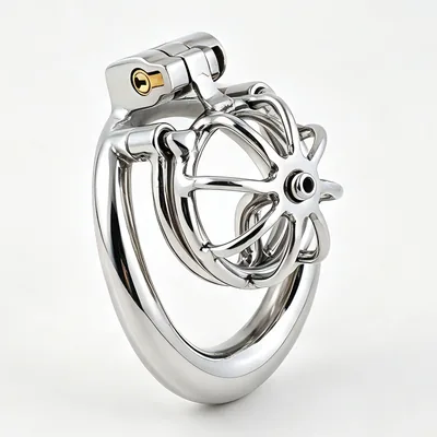 TERNENCE Metal Chastity Cage, Short Male Closed Ring cage with PA Puncture